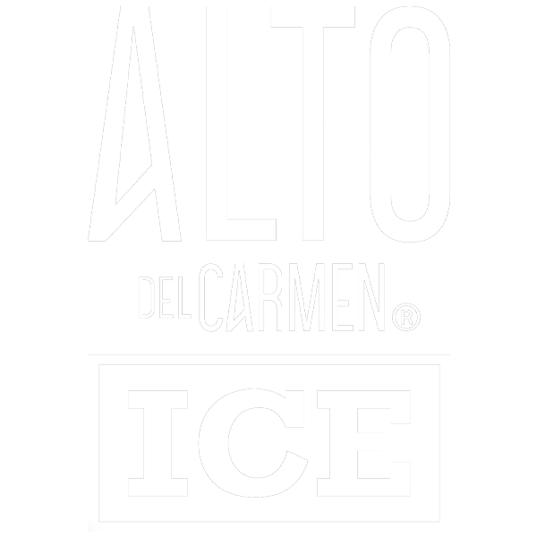 LOGO ALTO ICE 2022 - copia-2