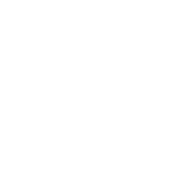 alto del carmen